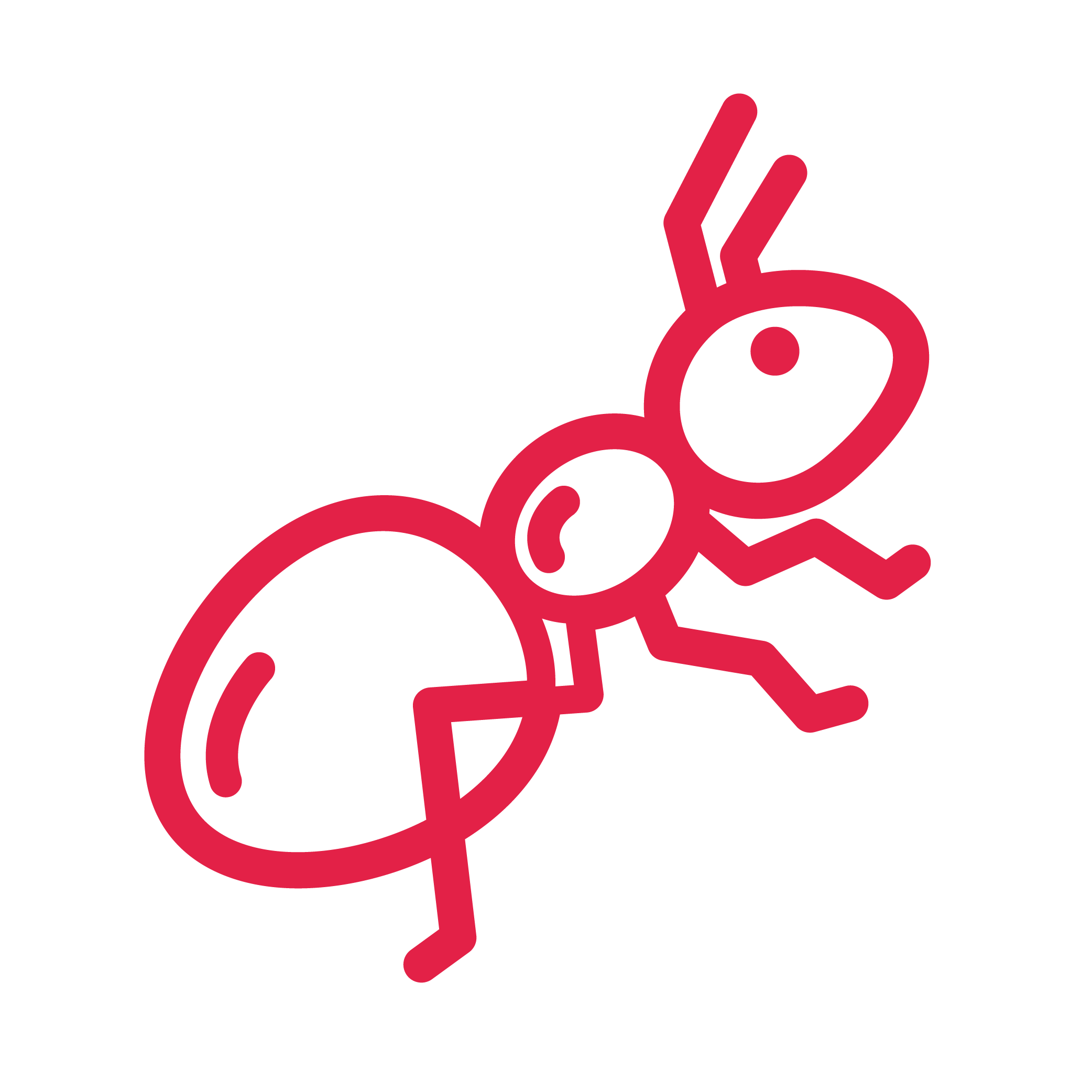 Bugs crawling icon