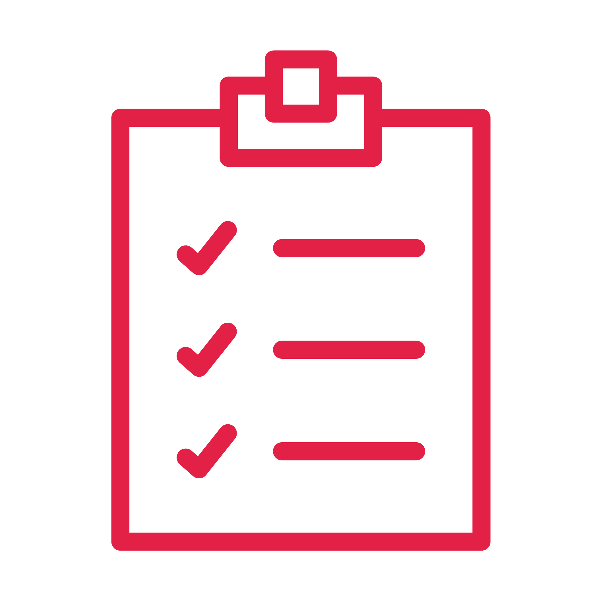 Brochure checklist icon