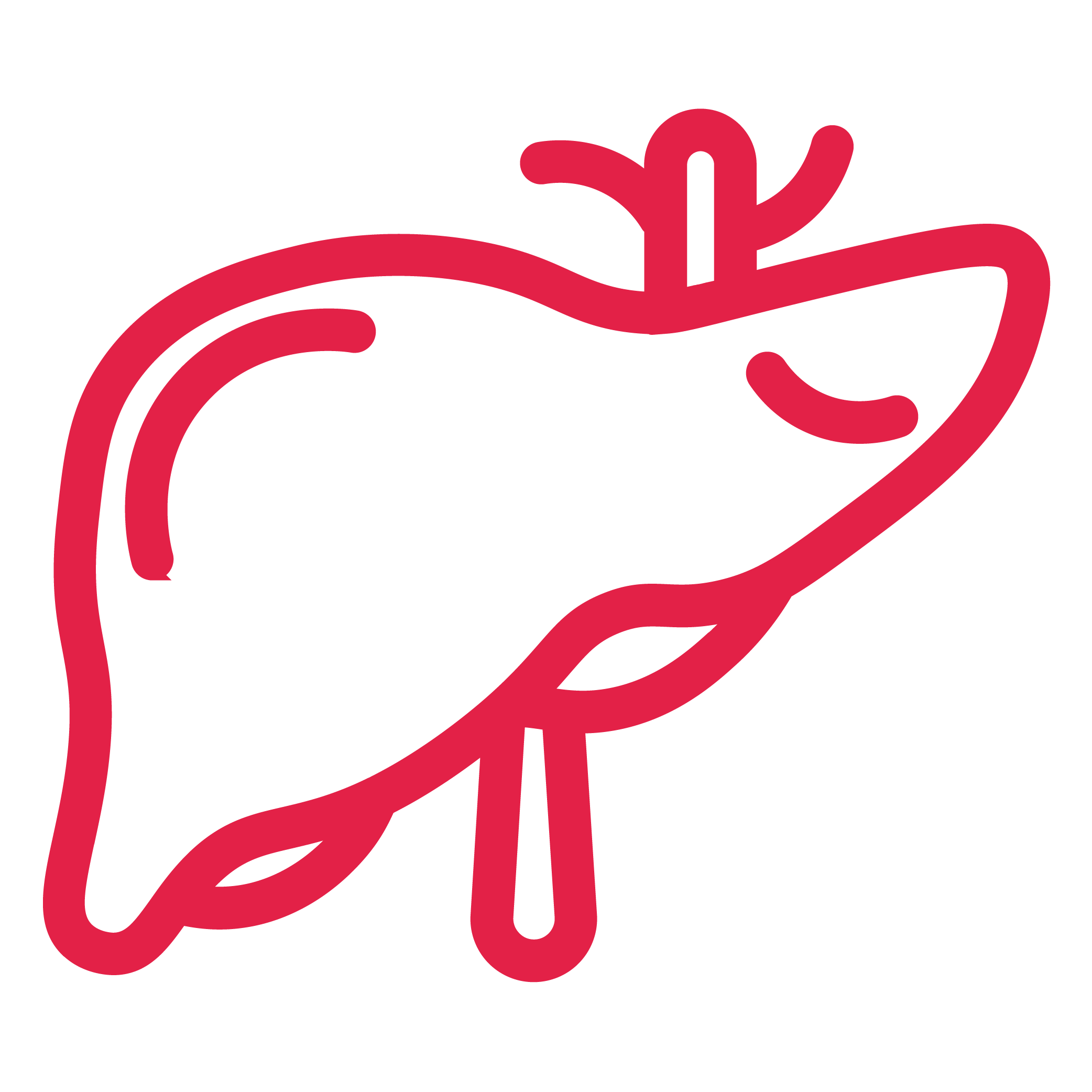 Liver icon